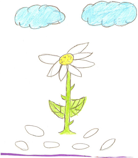 Flor.jpg?imgmax=512