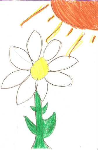 Flor%205.jpg?imgmax=512