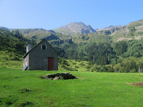 IMG_0005.JPG.jpg