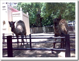120120081438