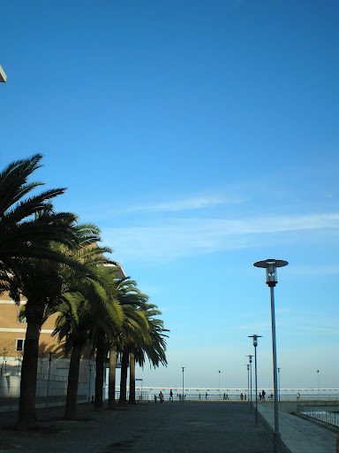 Luz de inverno, Lisboa, Parque das nações, Janeiro 2008