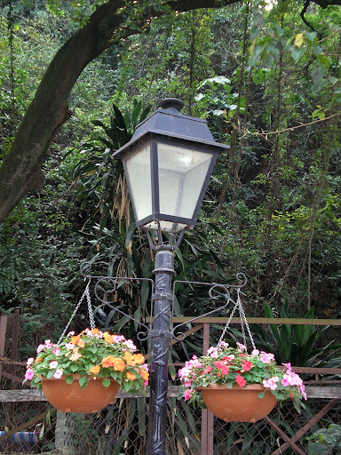 Taipa, Macau, Candeeiro