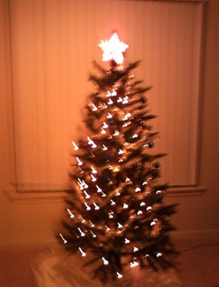 my tree