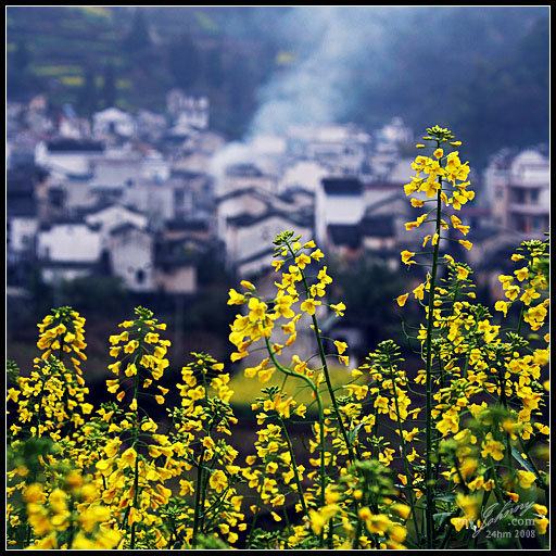 [IMG_7916.jpg]