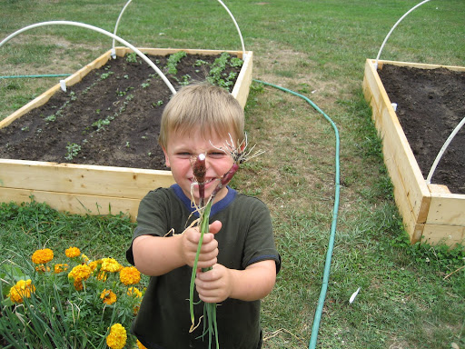 trey w/ onion