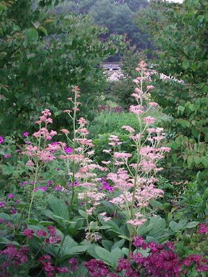 Walled Garden Scampston