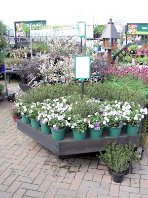 Flower display 2