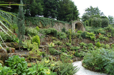Fern garden