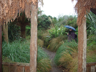 Heligan New Zealand garden