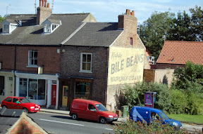 Bile Beans