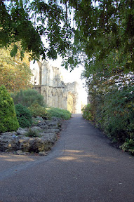 Abbey Ruins
