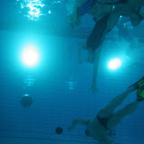 Picasa Image