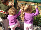DSC02871.JPG