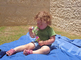 DSC02049.JPG