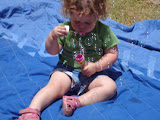 DSC02040.JPG