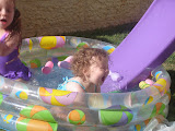 Picture 013.jpg