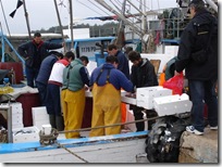 fishing (6)