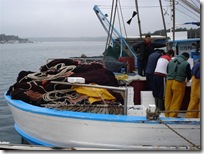 fishing (7)