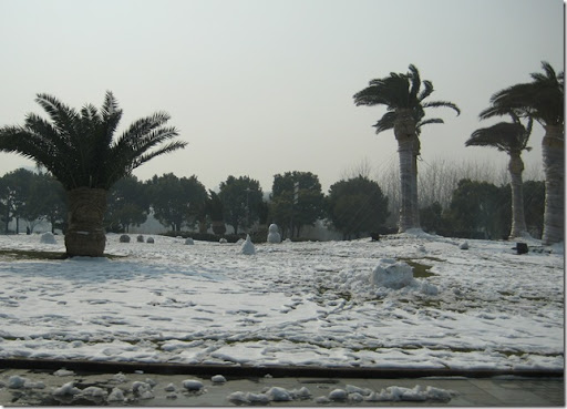 Chinese snowmen with palm trees!!