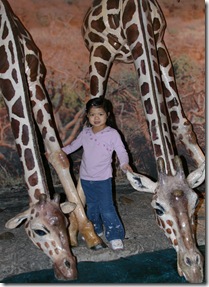 one of Amanda's favorite animals