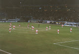 imm020.jpg