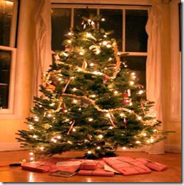 our_xmas_tree