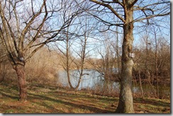 deerwood little harpeth river view