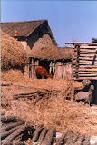jpg083.jpg