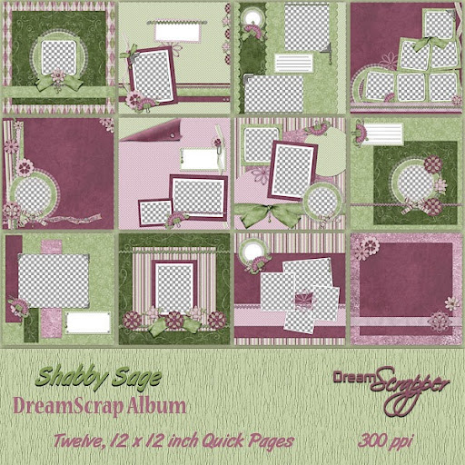 Shabby Sage Dream Scraps Album