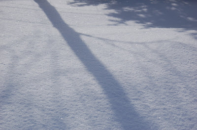 Glittering snow and tree shadows. 