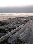 Driftwood on Manzanita Beach, Oregon. 