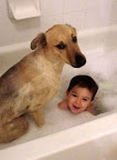 Time to come clean! Boy and dog in bubble bath. 