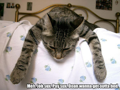 Meh. Job sux. Pay sux. Doan wanna get outta bed. from IcanHasCheezburger.com
