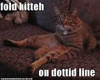 fold kitteh on dottid line - LOLcats from IcanHasCheezburger.com