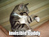 invisible buddy - LOLcats from IcanHasCheezburger.com
