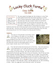 CoopScoopFall05_Page_1.jpg