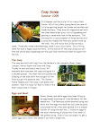 CoopScoopSummer05_Page_1.jpg