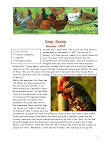 CoopScoopSummer2007_Page_1.jpg