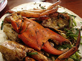 DSC00442.JPG