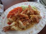 DSC00445.JPG