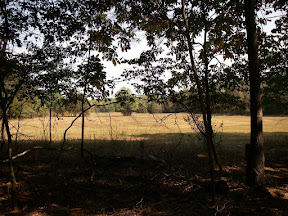 Imgp0567