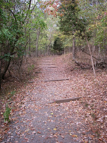 Imgp0586
