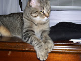 100_0471.JPG