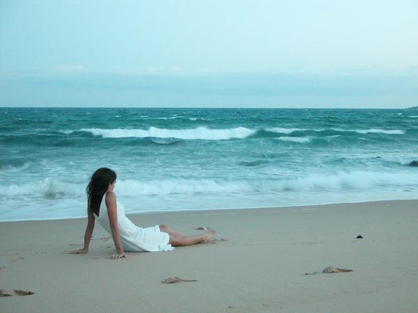 THE OCEAN'S SHORE