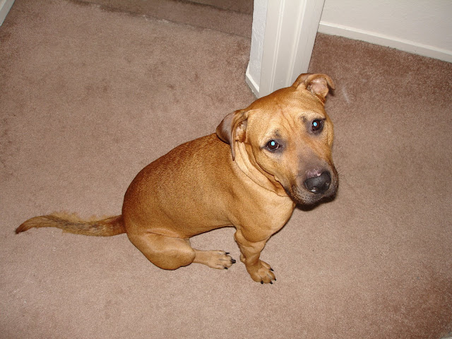 Sadie whole again