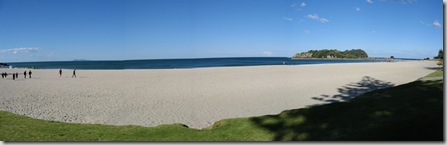 tauranga05