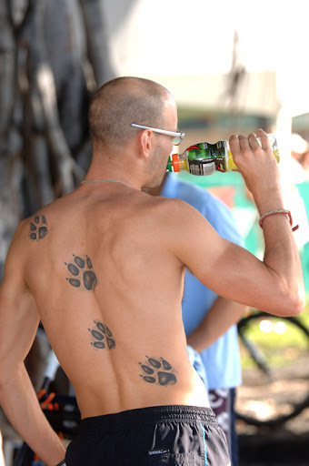 kiwi tattoos