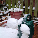 Nov. 18, 2007 wet snow