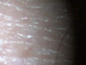 hand 60x 2.jpg