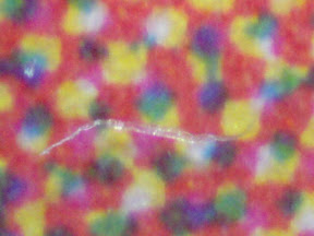 coaster fiber 200x.jpg